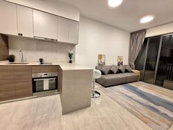 The Florence Residences (D19), Apartment #472441251